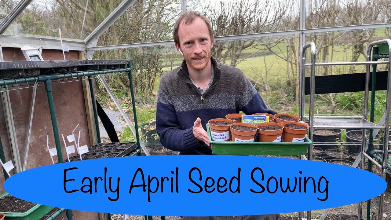 Early April Seed Sowing | Episode 8