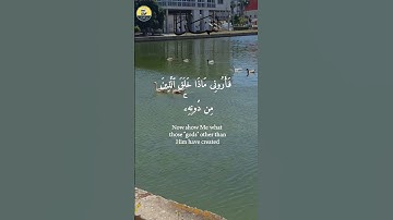 سلام عليكم من مدينة ملقة الإسبانية/الشيخ السديس #اكسبلور #المصحف #سورة لقمان