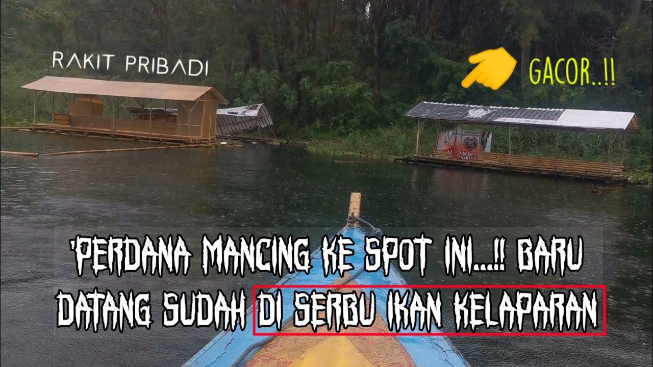 perdana mancing ke spot ini.! baru nyampe sudah di serbu ikan kelaparan || mancing jatiluhur terbaru