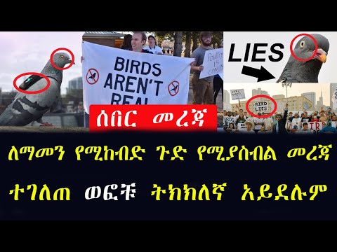 ቪዲዮ: ቻይናውያን ከአሜሪካ ጋር በሚጋጩበት የራሳቸውን የተመጣጠነ ሚዛን ስትራቴጂ ይረዳሉ