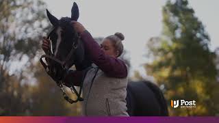Earn Your Equine Studies Degree