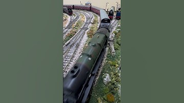 BR, Royal Scot Class, 4-6-0, 46165 ‘The Ranger’ pulling stock through a 3 way point.