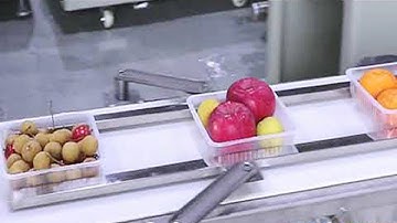 Automatic Celery Packaging Machine Fresh Vegetable Platic Wraps Wrapping Equipment máquina embalaje