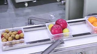 Automatic Celery Packaging Machine Fresh Vegetable Platic Wraps Wrapping Equipment máquina embalaje