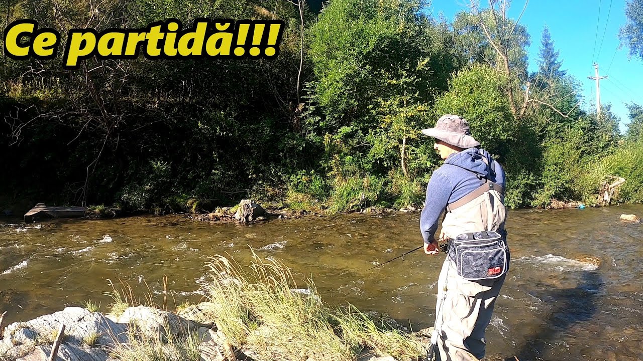 Am Prins MULT Păstrăv și Lipan pe un Râu Minunat.