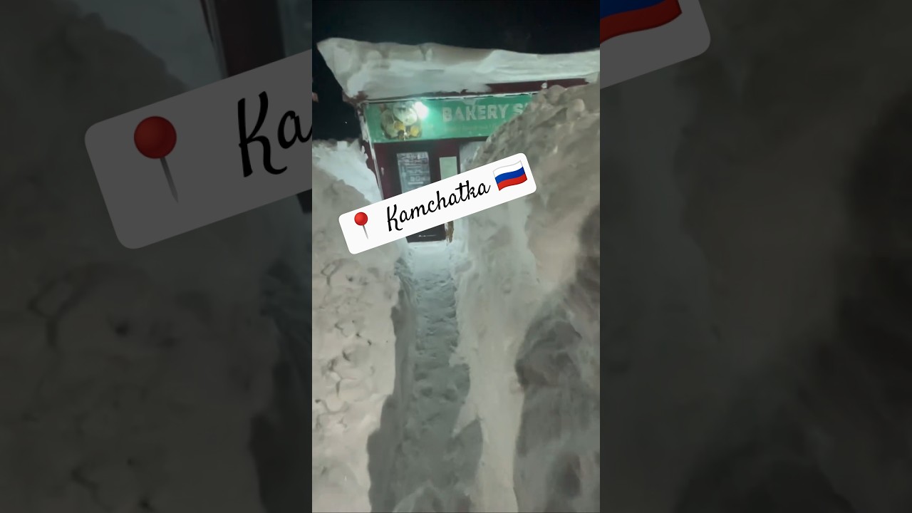 Let's buy a loaf of bread? 😋🍞 