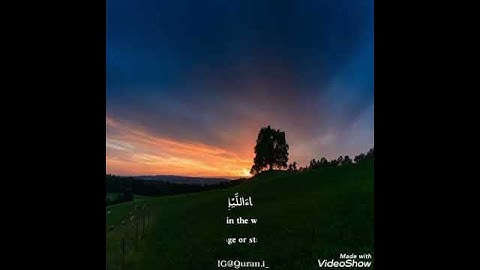 أَمَّنْ هُوَ قَانِتٌ آنَاءَ اللَّيْلِ سَاجِدًا وَقَائِمًا يَحْذَرُ الْآخِرَةَ | القارئ هيثم الدخين
