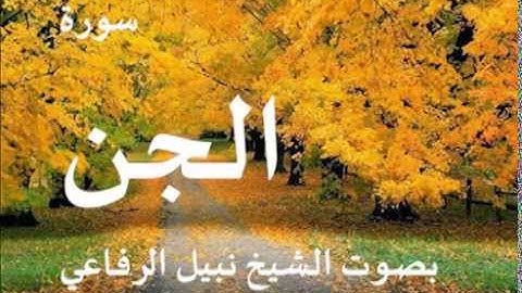 سورة الجن بصوت الشيخ / نبيل الرفاعي 72