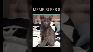 Meme Bless 8