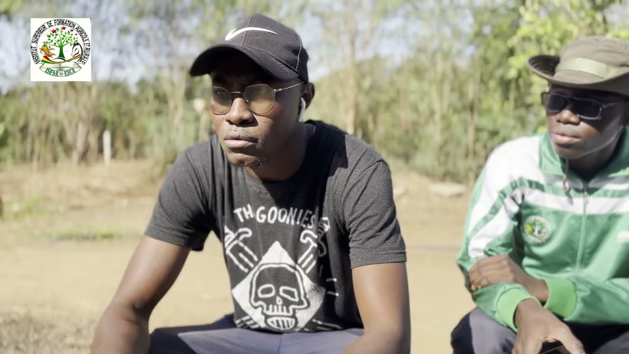 Comportement de l’oignon vis-à-vis de la pluie 🌧️🧅