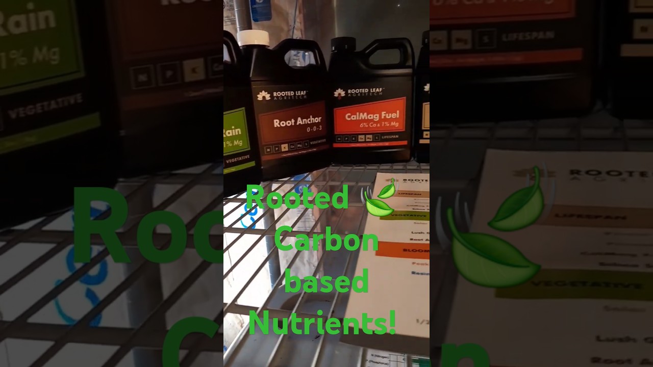 Carbon based nutrients. How well do they work?