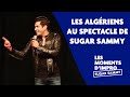 Humour: Les Algériens au spectacle de Sugar Sammy