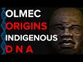 Ancient olmec origins  dna