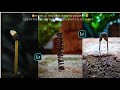 How To New Version Lightroom Mobile Macro Editing kaise kare | New Photo Editing Video 2024 |