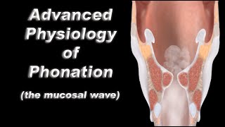 Advanced Physiology of Human Voice Production - The Vocal Fold Mucosal Wave