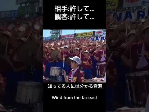 許して 卵様 卵キン Wind From The Far East Shorts Wind From The Far East