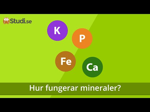 Hur fungerar mineraler? (Biologi) - Studi.se