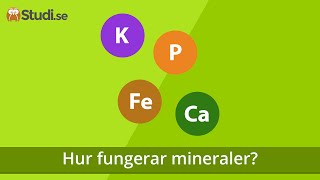 Hur fungerar mineraler? (Biologi) - www.binogi.se
