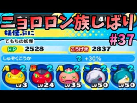 37妖怪ウォッチぷにぷに 全ボスvsニョロロン族しばり Youtube