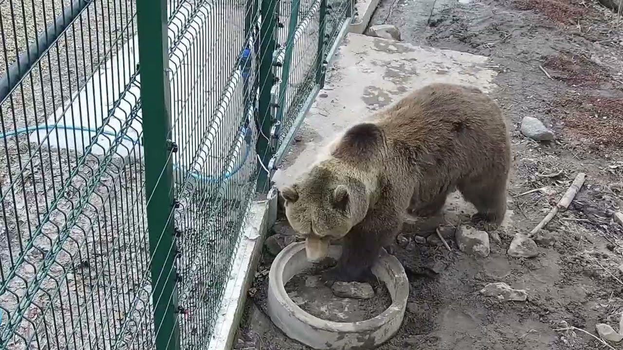 Мансур-Демонтаж: пособие по демонтажу бетонной поилки для начинающих ...