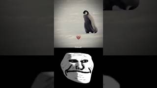 Bombastic 🐧 watch till the end. #trollface #shorts