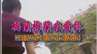 Mei lan wo ai ni