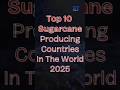 Top 10 Sugarcane Producing Countries 2025! 🌍🌾