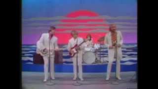 The Beach Boys - Do It Again (ESS - 1968) chords