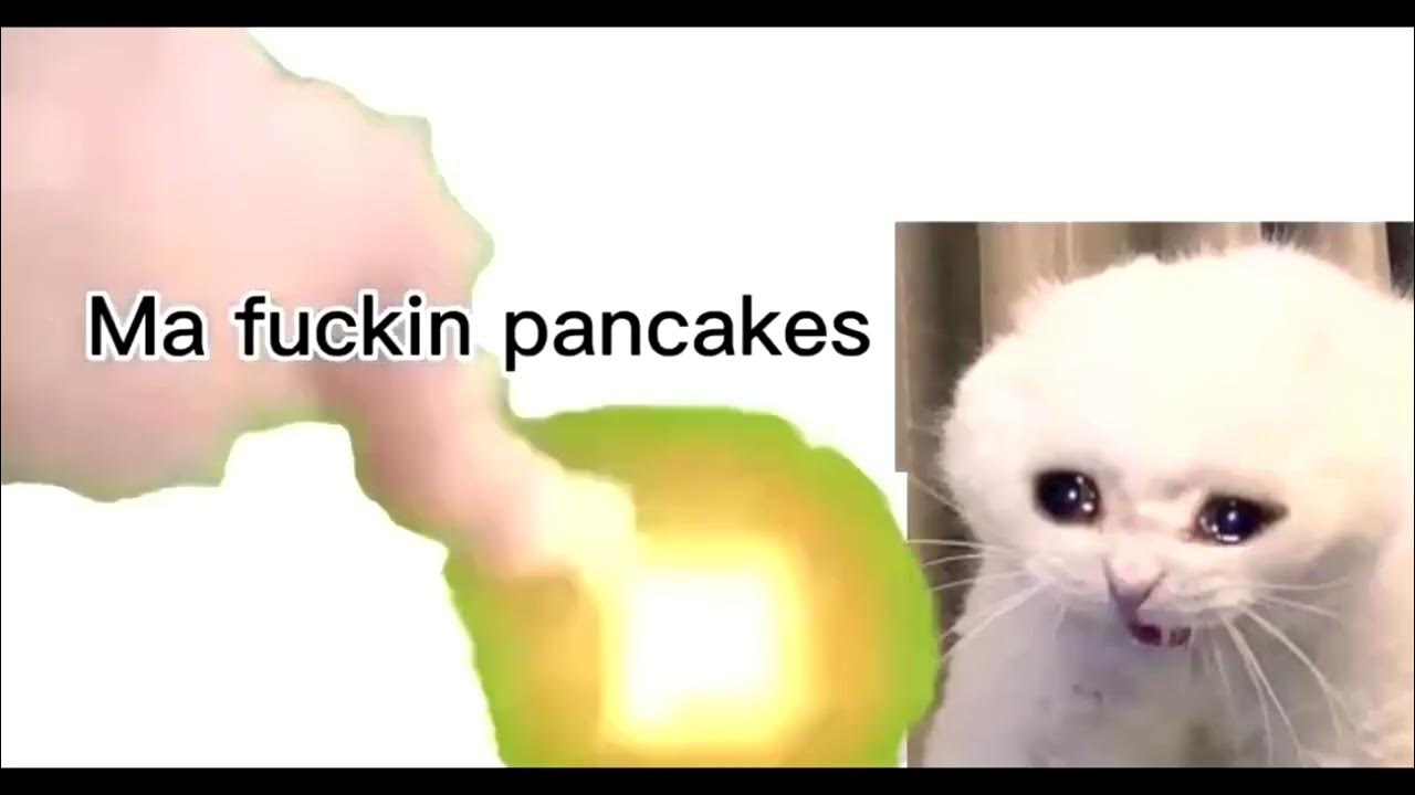 Plethora of Discord Cat Memes v5 - YouTube