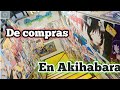 De Compras en Akihabara Japon