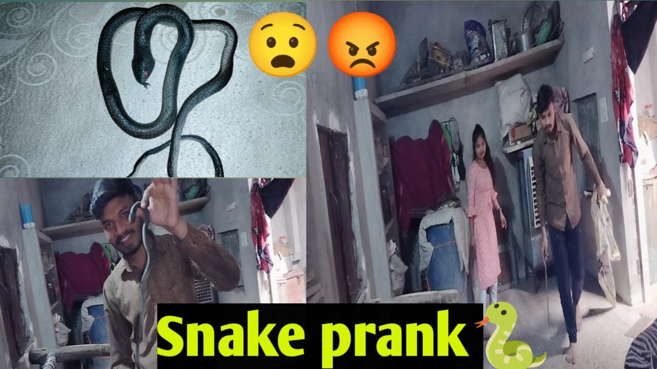 SNAKE PRANK 🐍 ON SISTER ||😂😡|| #snake #prank #comedy #funny #ytvideos # ...