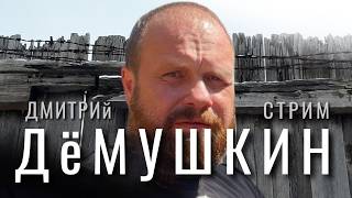 Безнадега и нищета. (Дмитрий Демушкин)