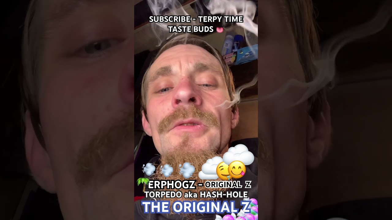 TERPY TIME TASTE BUDS - TERPHOGZ- ORIGINAL Z - TORPEDO - AKA - HASH HOLE 