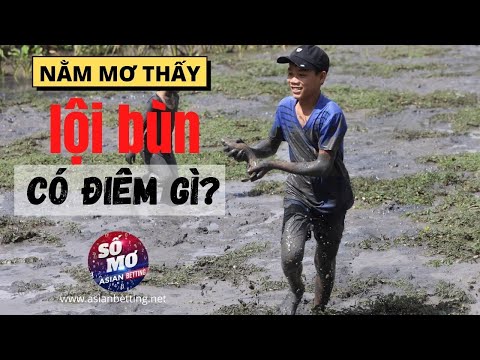 Video: Bùn Là Gì