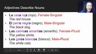 Noun-Adjective Agreement in Spanish