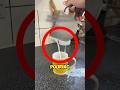 Genius Spoon Hack to Stop Spilling Milk 🥛✨