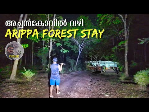 Achankovil forest route and Arippa KFDC forest cottage | Bike trip through jungle