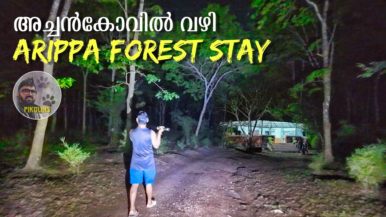 Achankovil forest route and Arippa KFDC forest cottage | Bike trip through jungle
