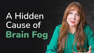Executive Function, Brain Fog and Chronic Fatigue Explained