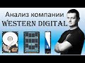 Фундаментальный анализ компании Western Digital | ИнвестократЪ