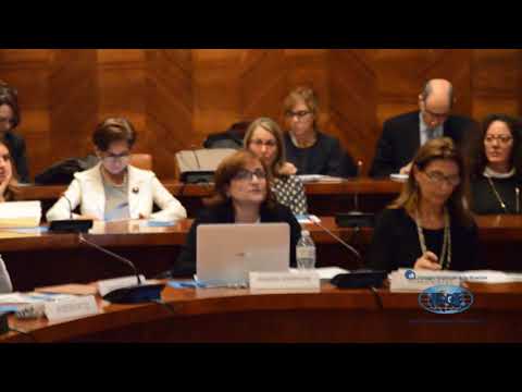 Gemma Andreone, Ricercatore di diritto internazionale, ISGI-CNR - YouTube