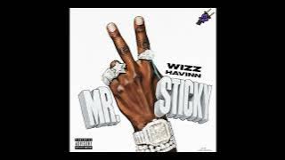 Wizz Havinn - Lost Ya Mind #SLOWED