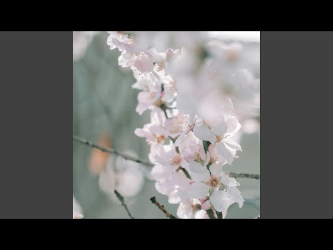 Spring Snow - Piano Version