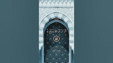 أَلَمْ تَرَ أَنَّ اللَّهَ يُسَبِّحُ لَهُ - علي جابر - سورة النور . #quran