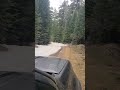 Offroading to a lookout point near Elbe #greatpnw #washington #forestroads #forest #forestroad #pnw