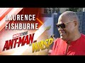 Laurence Fishburne at Marvel Studios' Ant-Man and The Wasp Premiere