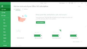 MS Excel Goes Away Crashes Office 365 Issue