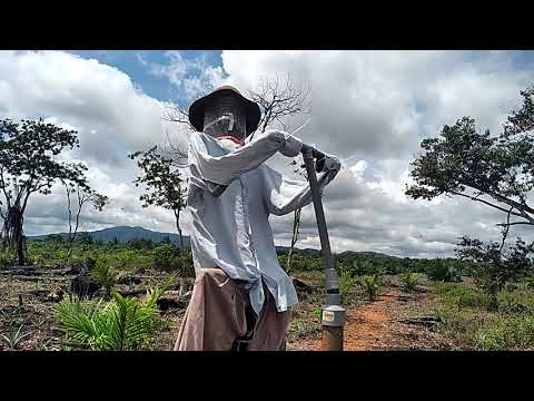 Video: Cara Membuat Orang-orangan Sawah Untuk Kebun