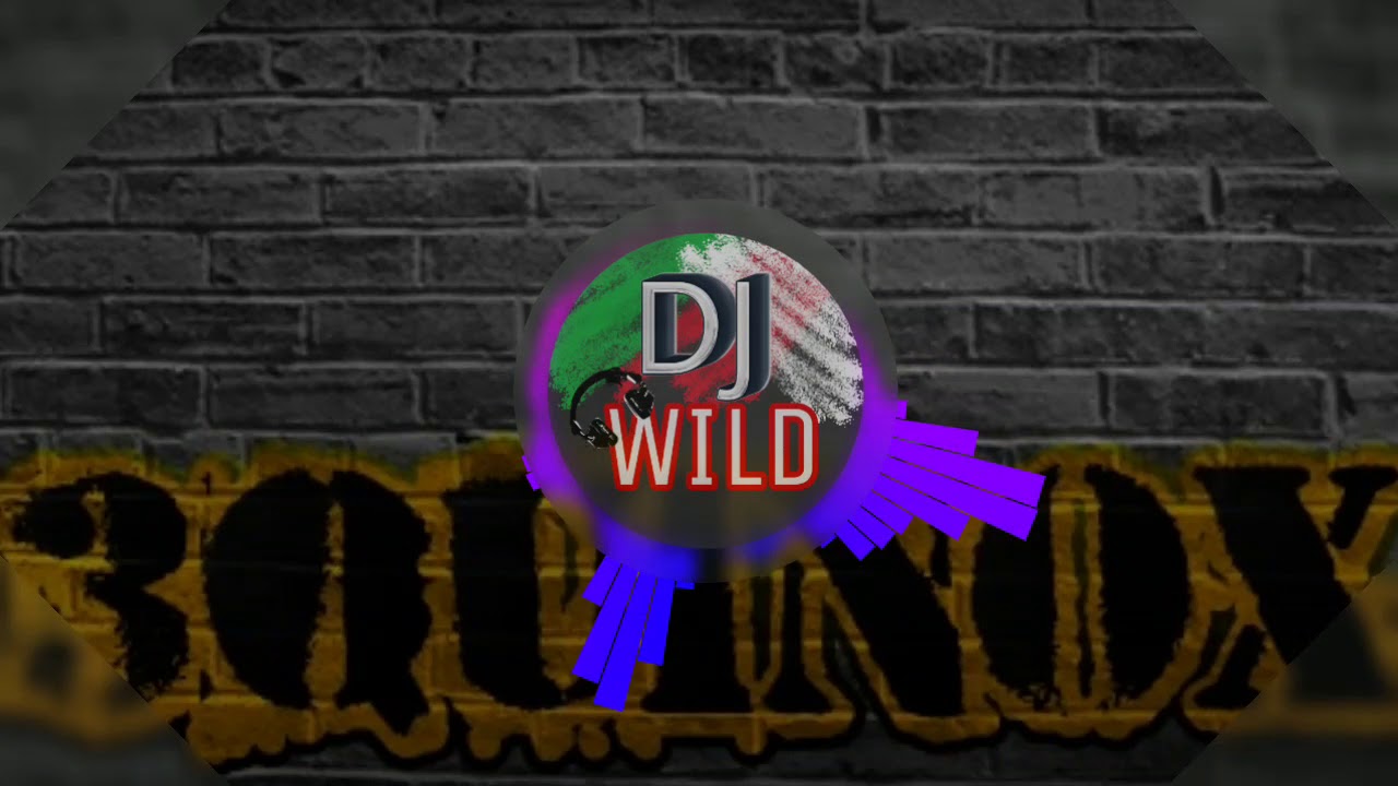 Alan Walker - Faded (DJ WILD REMIX)