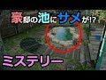 イースターエッグ(隠しスポット)＋警察24時…ウォッチドッグス2(Watch Dogs2)実況【GTA類似ゲーム】